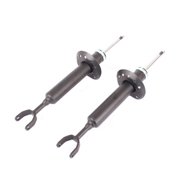 VW Passat 1.8T 20V 99-05 1.9 TDI  Front Shocks